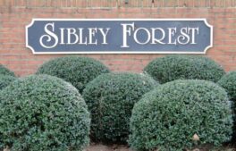 Sibley Forest in East Cobb