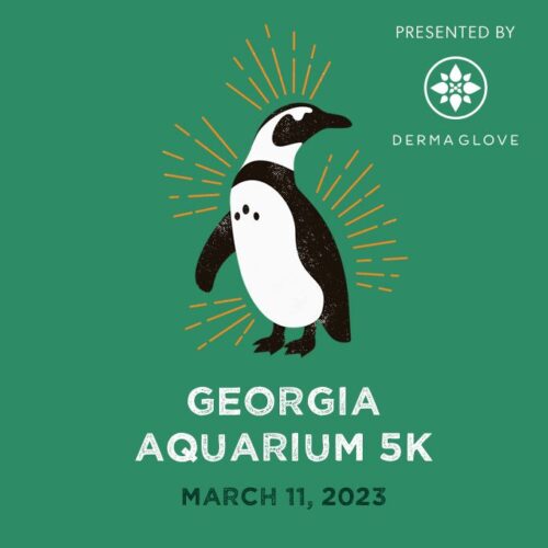 Aquarium 5k Walk/Run Returns Virtually and InPerson!