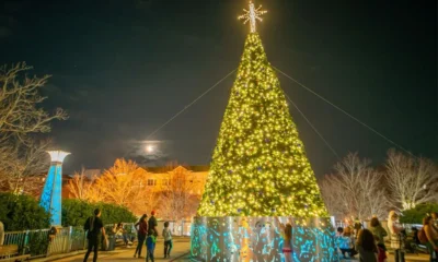 Decatur Tree Lighting